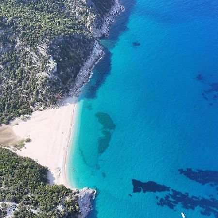 Trilocale Dory A San Teodoro Villa San Teodoro  Exteriör bild