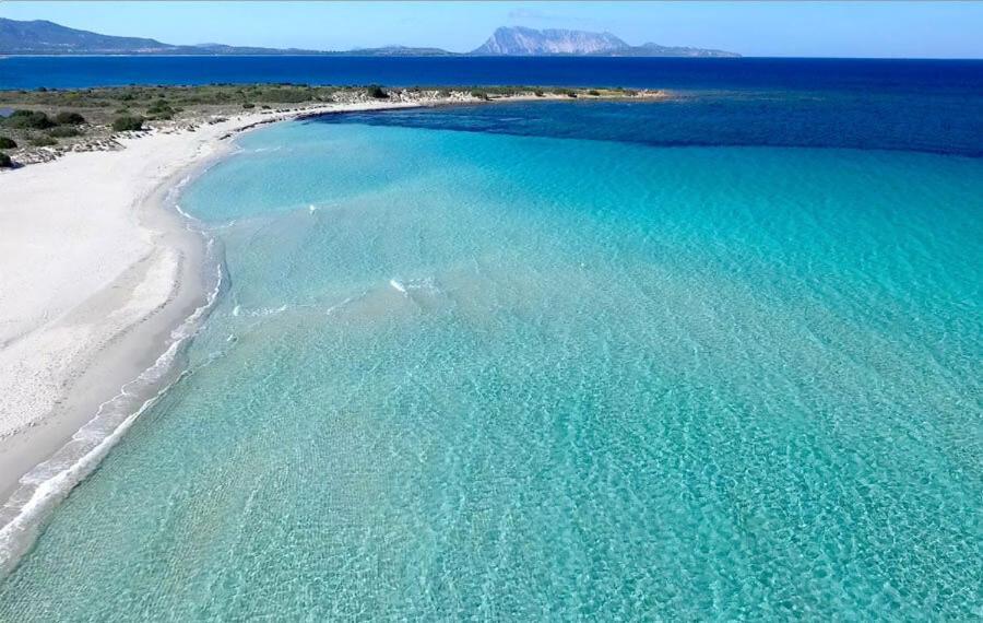 Trilocale Dory A San Teodoro Villa San Teodoro  Exteriör bild